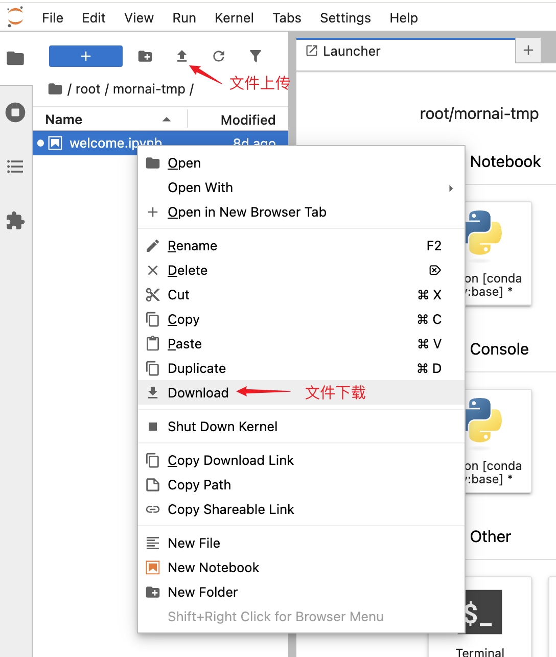 JupyterLab文件上传下载.png#552px #652px