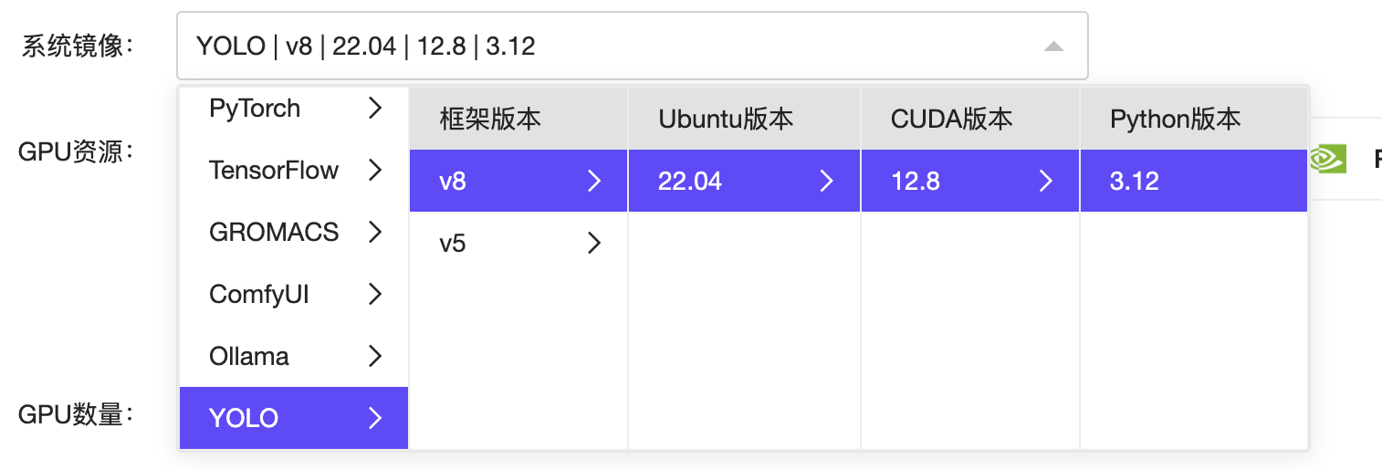 选择YOLO镜像.png#666px #226px